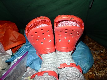 TRIP-129-239.jpg
