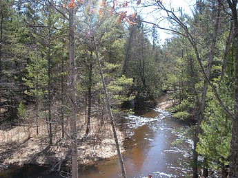 DSCN1000.jpg