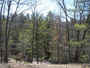 DSCN1002.jpg
