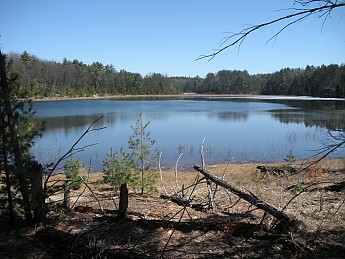 DSCN1015.jpg