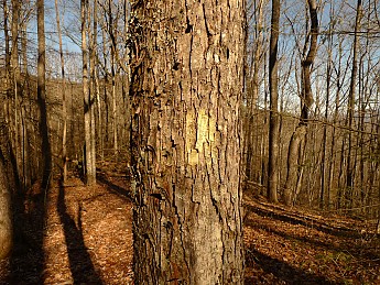 TRIP-129-249.jpg