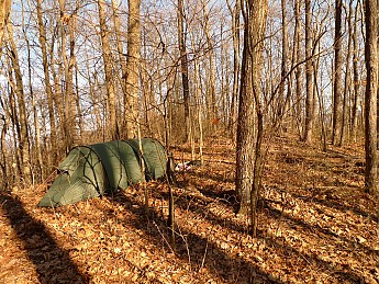TRIP-129-250.jpg