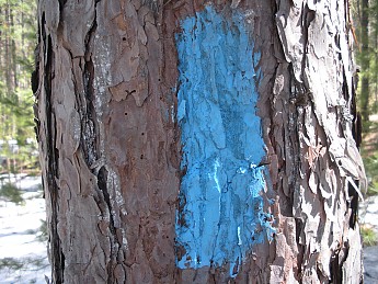 DSCN1025.jpg