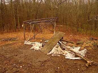 TRIP-129-252.jpg