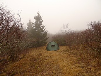 TRIP-129-257.jpg