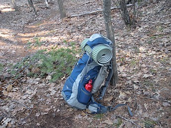 DSCN1064.jpg