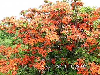 Summer-Trip-2-077.jpg