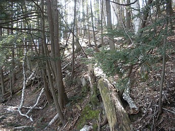 DSCN1068.jpg