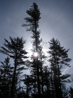 DSCN1073.jpg