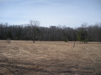 DSCN1075.jpg