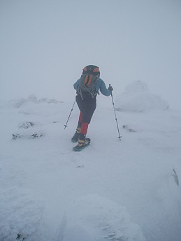 P2230030.jpg