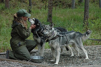 DSC_0226.jpg