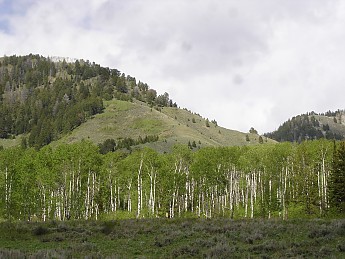 DSC05048.jpg