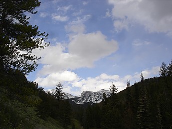 DSC05068.jpg
