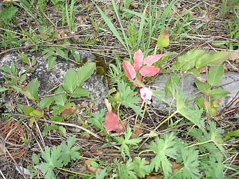 DSC05069.jpg