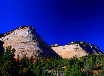 34863_103749113012389_7201488_n.jpg