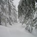 Mt-Wash-001