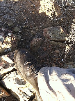IMG_0774.jpg