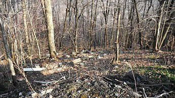 LHHT-January-2012-063.jpg