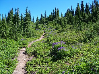 100_0841.jpg