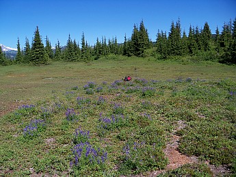 100_0845.jpg