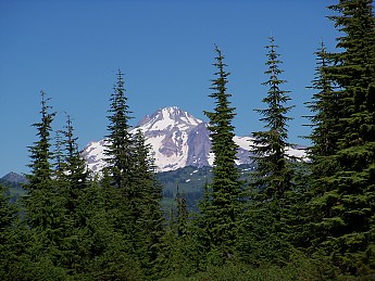 100_0847.jpg