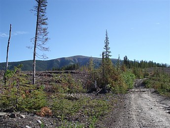 255506.jpg