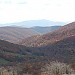 View from Elk Garden on the AT heading up to the summit of Mount Rogers