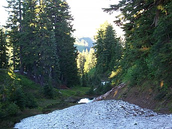 100_0855.jpg