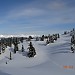 Trail out from cabin, Tetrahedron Provincial Park