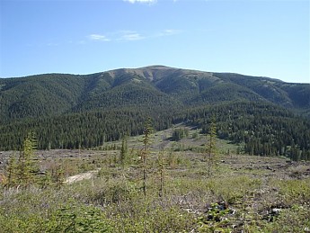 255507.jpg