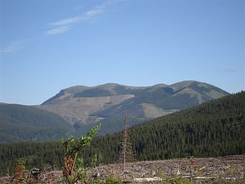 255508.jpg