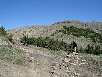 255512.jpg