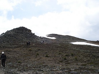 305581.jpg