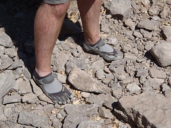 Tent-064-600-x-450-.jpg