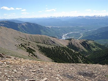 255515.jpg