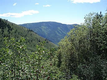 255540.jpg