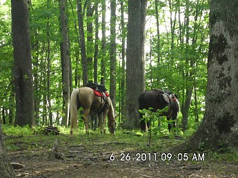 Summer-Trip-3-129.jpg