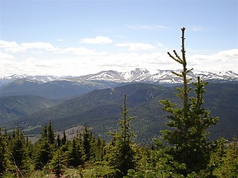 255541.jpg