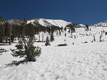 IMG_1925.jpg
