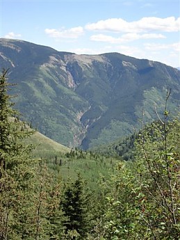 255542.jpg