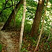 IMG_7539