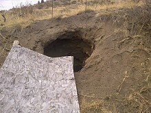 100420121027