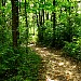 IMG_7543