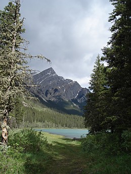 305591.jpg