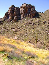 Bear-Canyon-to-Seven-Falls-and-beyond-3-11-13-051