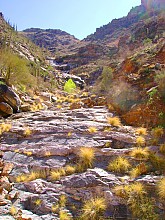 Bear-Canyon-to-Seven-Falls-and-beyond-3-11-13-025