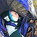 ready for rain in Denali