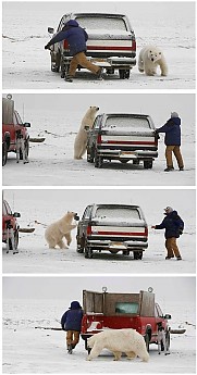 Chinese-Fire-Drill.jpg