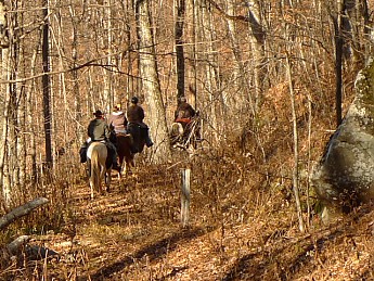 TRIP-116-048.jpg
